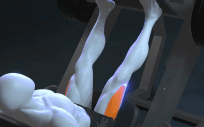 آموزش پرس پا خوابیده دستگاه (Leg Press)