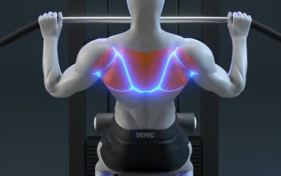 آموزش لت از جلو (Lat Pulldown Front)