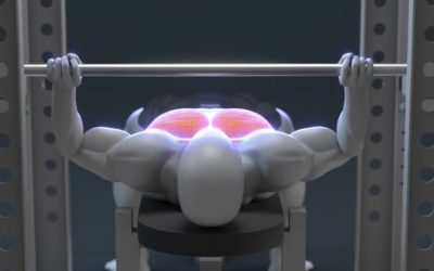 آموزش پرس سینه هالتر (Barbell Bench Press)