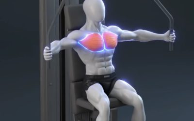 آموزش قفسه سینه دستگاه (Machine Chest Fly)
