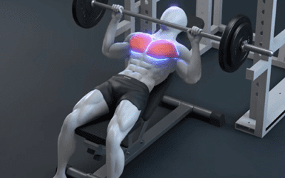 آموزش پرس بالا سینه هالتر (Incline Barbell Bench Press)