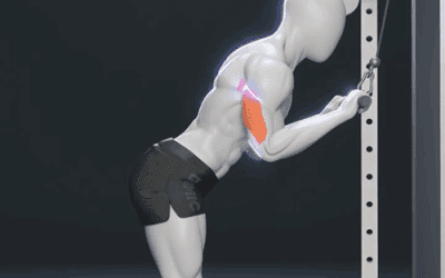 آموزش پشت بازو سیم‌کش (Cable Triceps Pushdown)