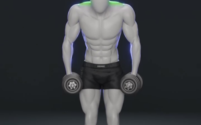 آموزش شراگز دمبل ایستاده (Dumbbell Shrug)