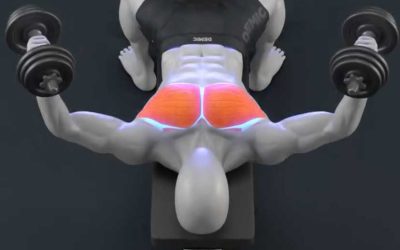 آموزش قفسه سینه دمبل (Dumbbell Chest Fly)
